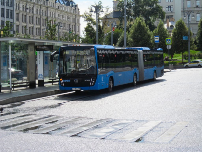 От омнибуса до электробуса: история общественного транспорта