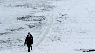 Такой день. Полыхающая фура и "обезвоженные" барнаульцы