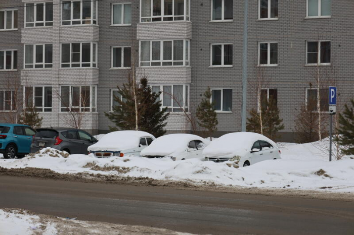 Снежное забвение. Фото барнаульских автомобилей, ставших частью зимнего пейзажа