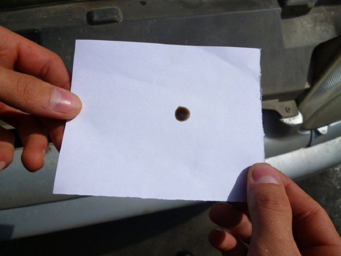 Разбавляют или нет: как понять, что бензин плохой за 5 минут прямо на заправке