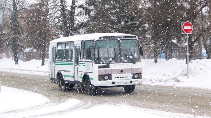 В Барнауле водитель маршрутки наорал на женщину, схватил сумочку и сказал "звонить Путину"