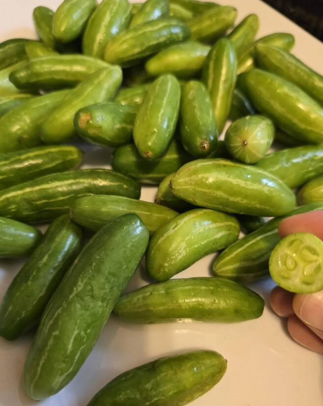 От загадки до разгадки: интернет раскрывает тайны 15 странных предметов