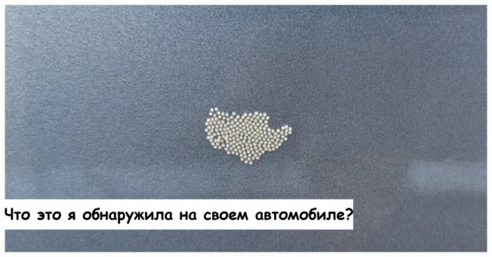 motamo.ru - Авто и мото.
