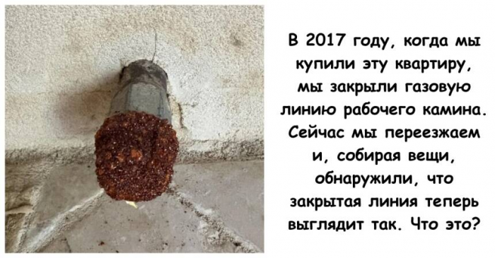 15 человек, которые попросили интернет помочь разобраться с непонятными вещами