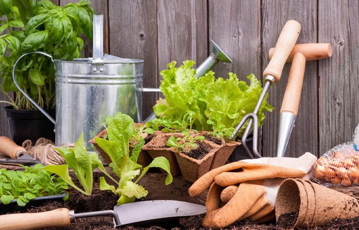 Почему не стоит делать цветочные клумбы из старых автомобильных шин