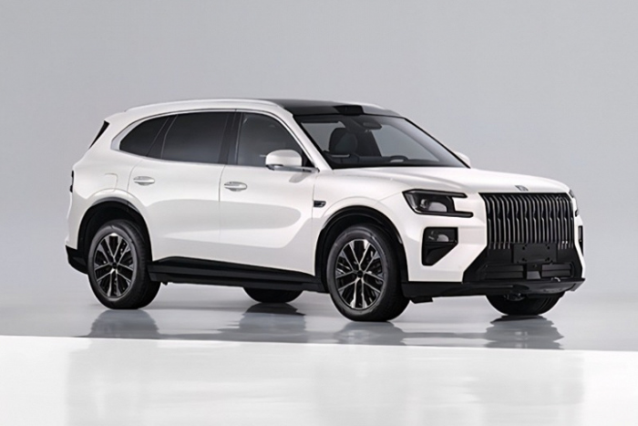 Спортивный Zeekr 8X: черный экстерьер и электрический спойлер