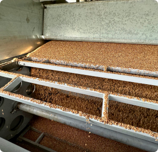Конвейерные сушилки зерна: принцип работы и область применения