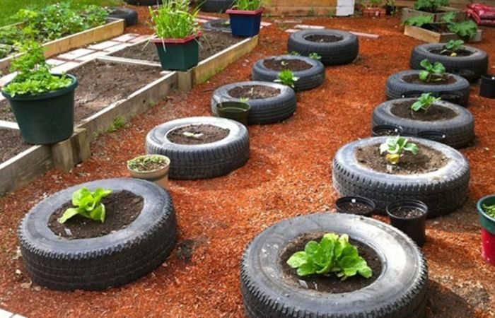 Почему нельзя делать цветочные клумбы из старых автомобильных шин
