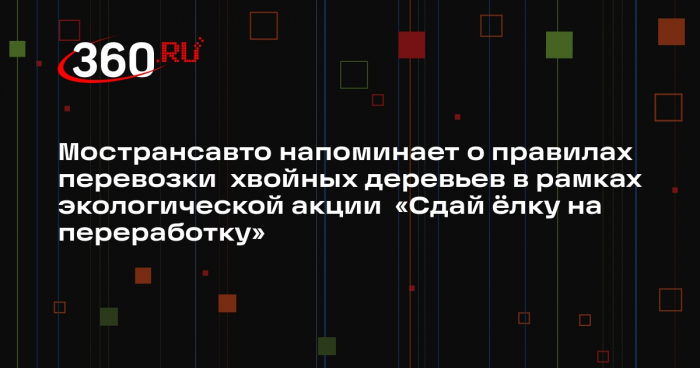 Жителям Подмосковья напомнят о правилах перевозки елок в автобусах