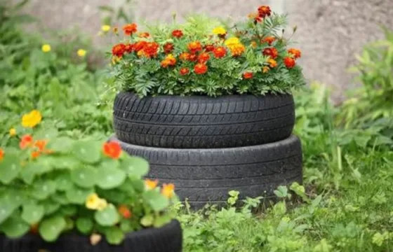 Почему нельзя делать цветочные клумбы из старых автомобильных шин