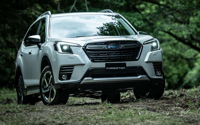 Эти кроссоверы ходят до 300 000 км без капремонта: называем модели