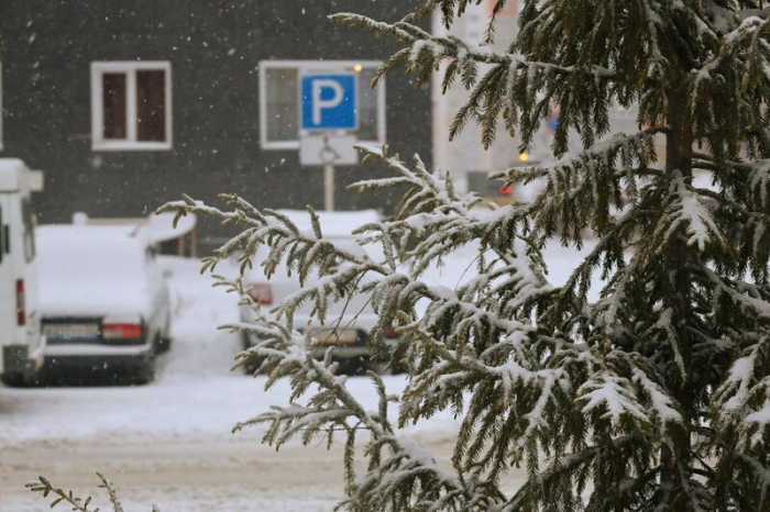 Зиму за ночь намело. Барнаул завалило "долгожданным" снегом