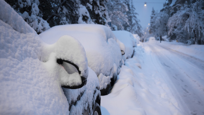 Автоэксперт Попов пояснил, сколько можно ездить без номеров на новой машине