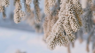 Холод — не помеха. Что делать, если автомобиль не заводится в мороз