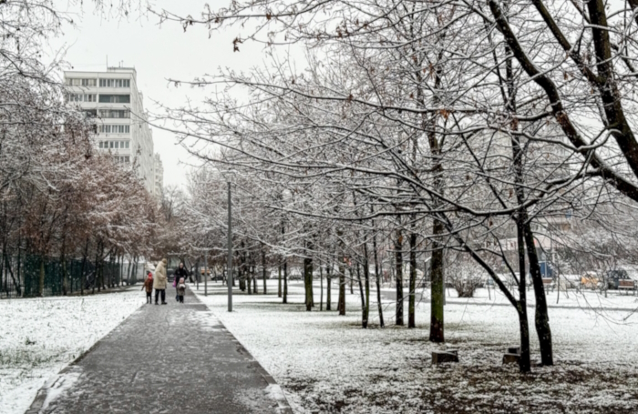 В Москве выпал первый в сезоне снег