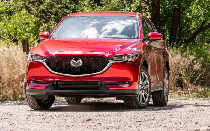 Названы самые выгодные машины для ввоза в Россию