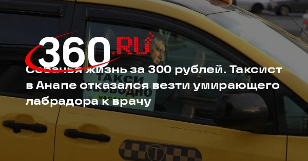 Собака умерла в Анапе из-за отказа таксиста отвезти животное к ветеринару
