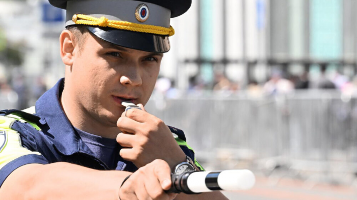 В России электронные водительские права и СТС могут приравнять к бумажным