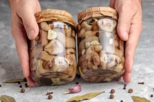 Сделать форшмак или пиццу. 10 идей, как использовать консервированные грибы