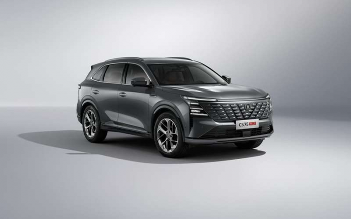 Полный привод, автомат, тяговитый мотор – добротный кроссовер уже в России