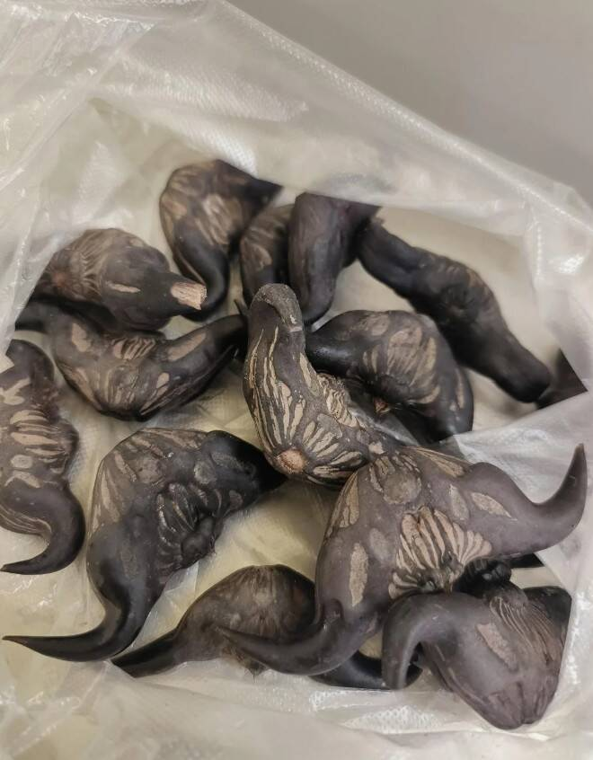 Странные детали одежды, машин и даже туалетов: 15 предметов-загадок и их разгадка