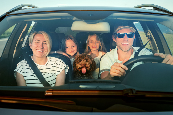 PLOS ONE: разговор за рулем нарушает самые быстрые зрительные реакции водителя