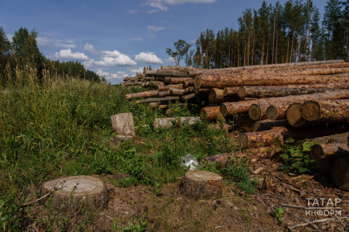 Парадный въезд в Казань или узкая петляющая дорога: варианты дублера Оренбургского тракта