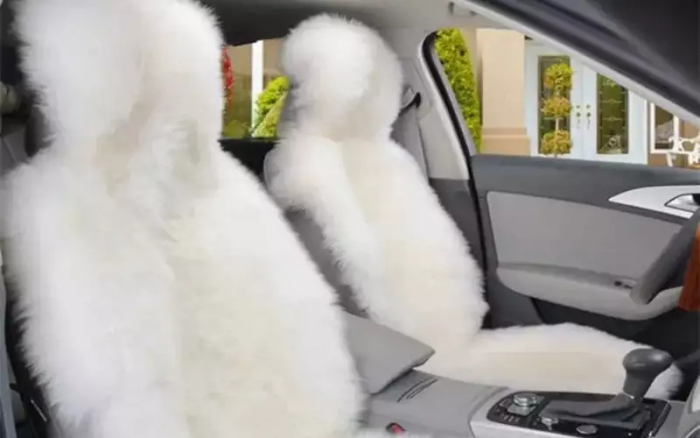 5 худших подарков автомобилистам — рейтинг «За рулем» к 23 февраля и 8 марта