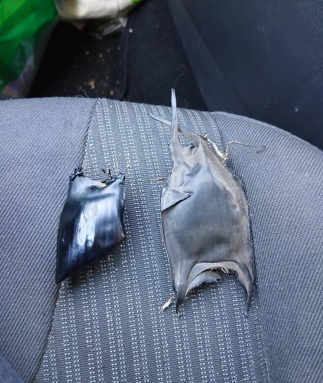 От загадки до разгадки: интернет раскрывает тайны 15 странных предметов