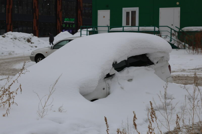 Снежное забвение. Фото барнаульских автомобилей, ставших частью зимнего пейзажа