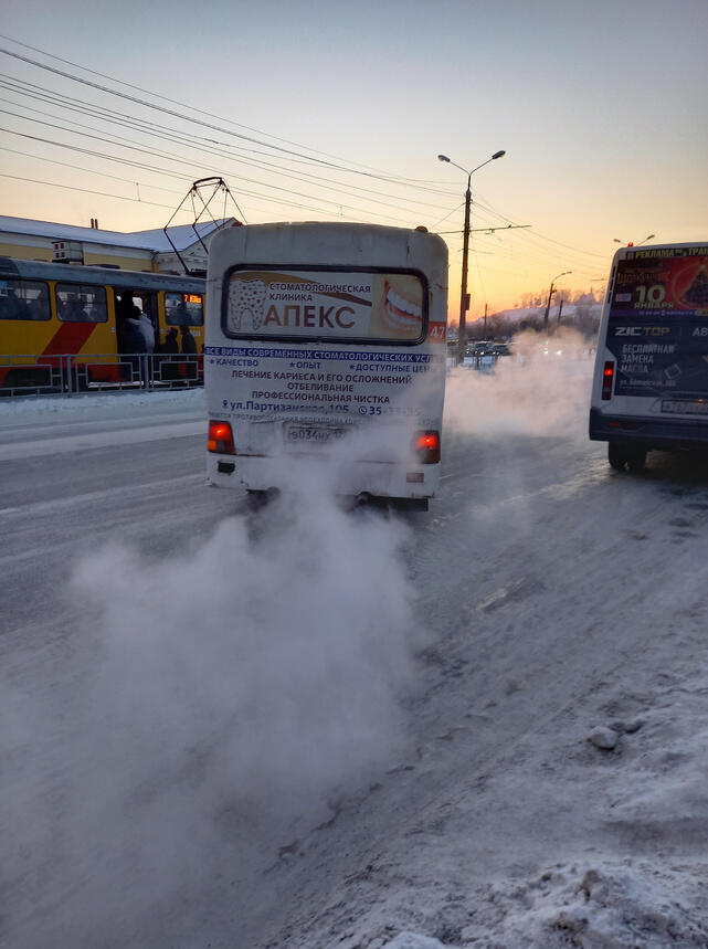 В Барнауле водитель маршрутки наорал на женщину, схватил сумочку и сказал "звонить Путину"