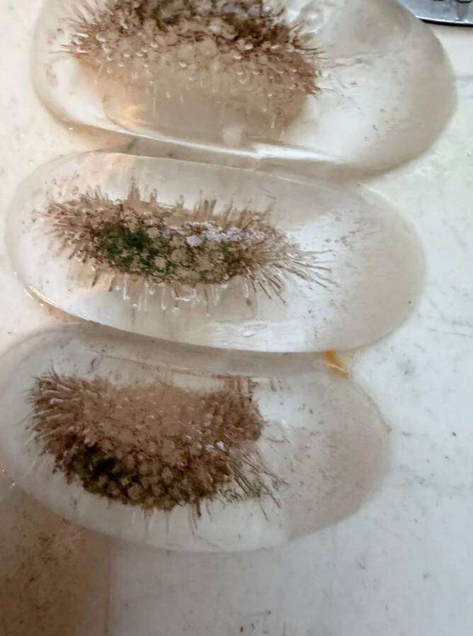 15 находок, которые вызвали один вопрос: что это? Ответы нашлись