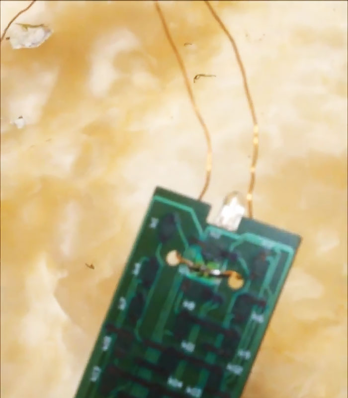 Металлоискатель своими руками в домашних условиях