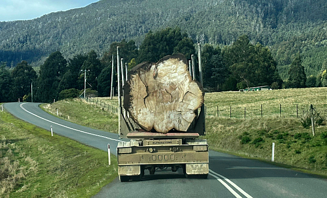Турист ехал по холмистой дороге и случайно снял на видео фуру, которая везла бревно с самолет толщиной