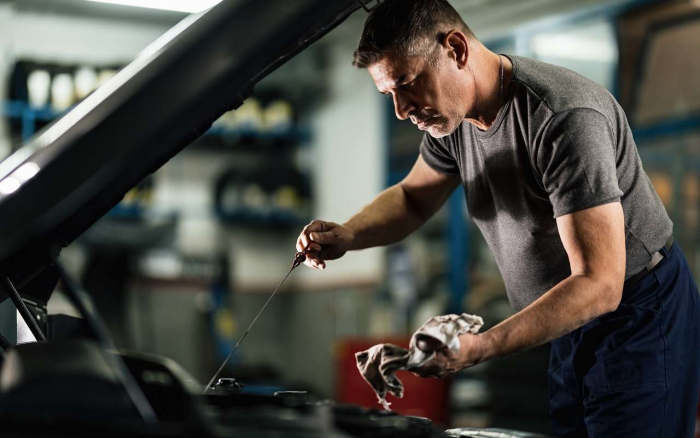 Как бороться с «масложором»? Назван самый действенный способ