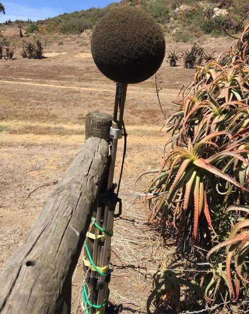 Странные детали одежды, машин и даже туалетов: 15 предметов-загадок и их разгадка