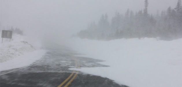 Мужчина на Аляске застрял в снежном заносе и 3 дня выживал на 3 банках пива
