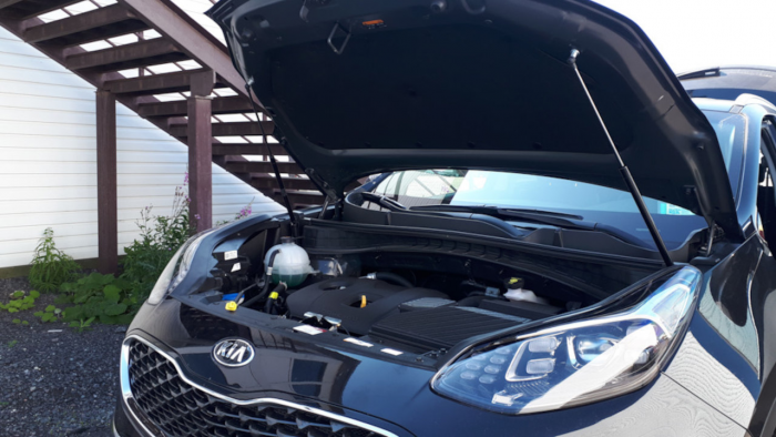 Почему самые популярные двигатели Hyundai и Kia оказались самыми проблемными