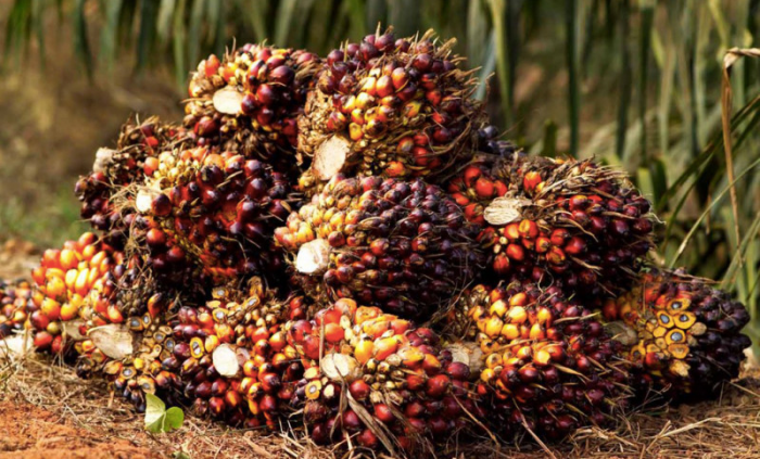 Пальмовое масло - не яд