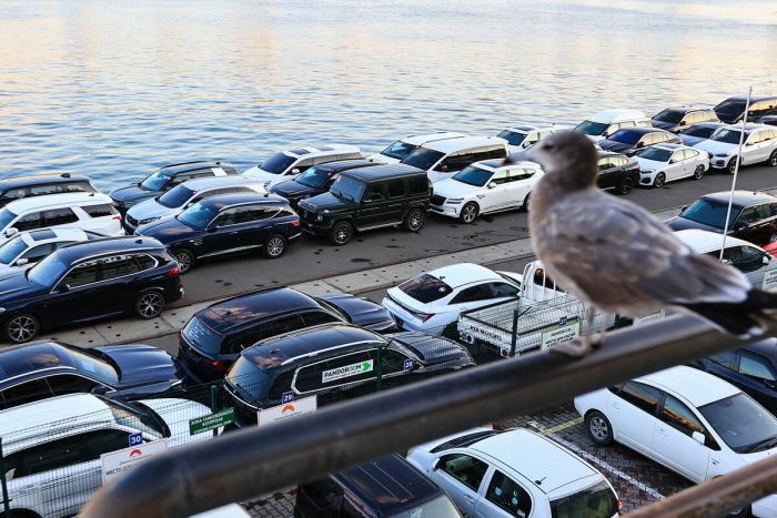 С 1 декабря вступил в силу новый порядок расчета утильсбора на иномарки