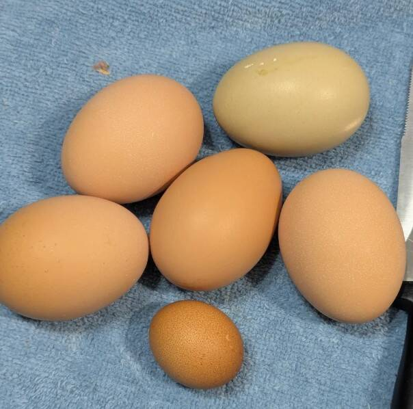 15 находок, которые вызвали один вопрос: что это? Ответы нашлись