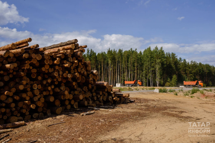 Фарит Ханифов: С трассы М12 должен быть удобный и быстрый заезд в центр Казани