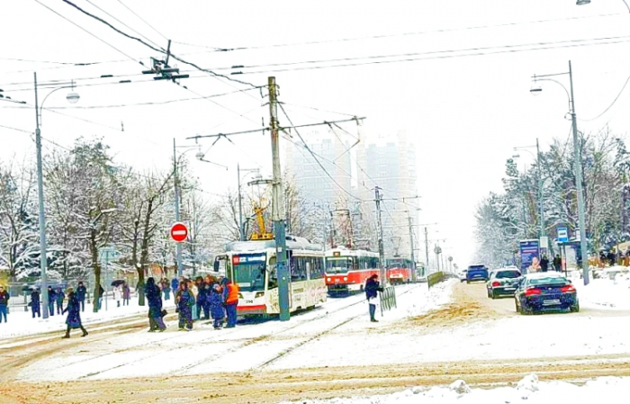 Транспортный коллапс: массовые остановки трамваев и троллейбусов сегодня утром в Краснодаре