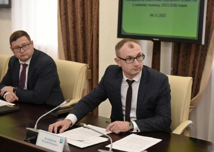 Власти Барнаула рассказали, как дорожники будут очищать и обрабатывать улицы зимой