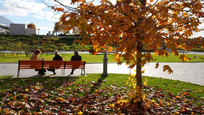 Автоэксперт напомнил о важных правилах управления машиной в гололед