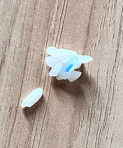 Странные детали одежды, машин и даже туалетов: 15 предметов-загадок и их разгадка