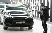 Физики посчитали, кто едет быстрее: Санта-Клаус или Илон Маск на Tesla  